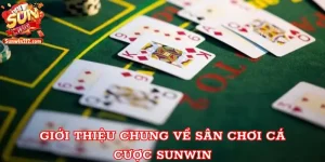 Giới thiệu chung về sân chơi cá cược Sunwin